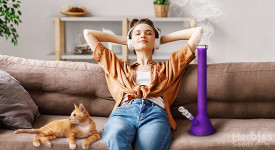 The Top 5 Most Relaxing Strains To Enjoy From The Comfort Of Your Own Home