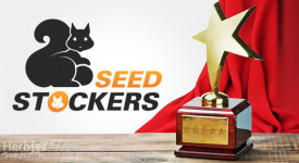 Top 5 von Seedstockers: Flagship Strains Series