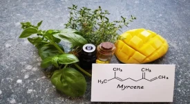 Myrcen und Wirkung von Cannabis