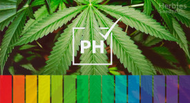 Der beste pH-Wert für Ihre Cannabispflanze