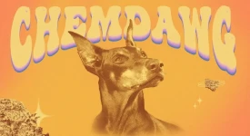 chemdawg cannabissorte