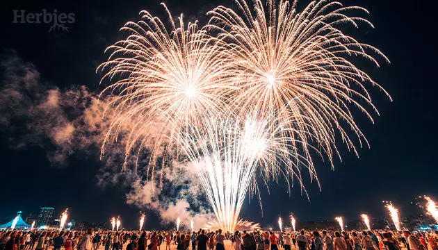 versandverzögerung am 23. und 24. Juni 