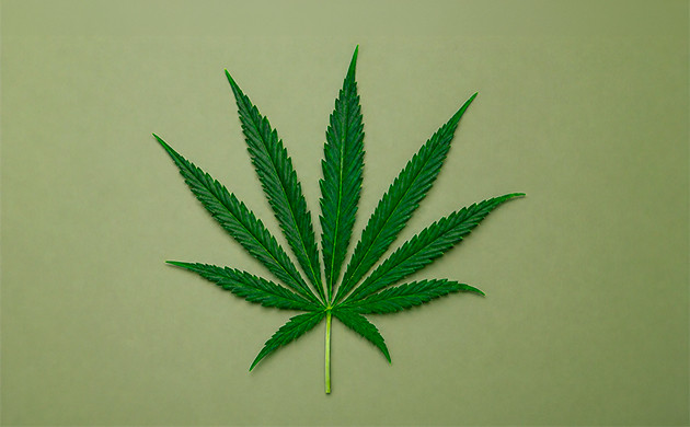kann man gleichzeitig high und stoned sein?