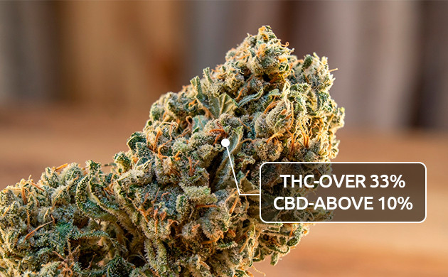 Cannabinoidgehalt von echtem Unkraut wie man erkennt, ob Unkraut gut ist