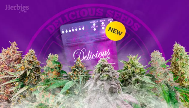 neue sorten von delicious seeds