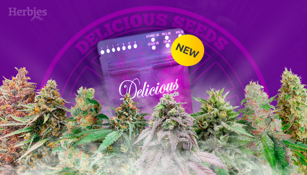 neue sorten von delicious seeds