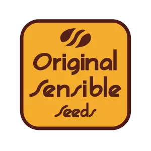 cannabis-samen von original sensible seeds