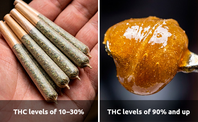 wie man Cannabiswachs macht