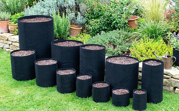 Smart pots how much does it cost to start growing weed