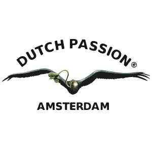 Die Top 5 Selbstblüher von Dutch Passion
