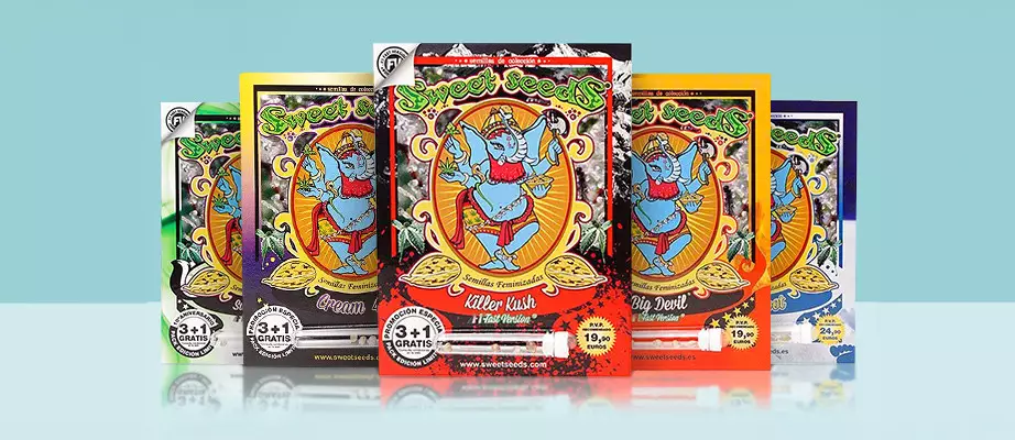 Sweet Seeds Cannabis-Samen