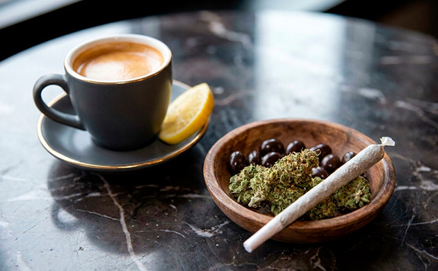 Koffein und thc