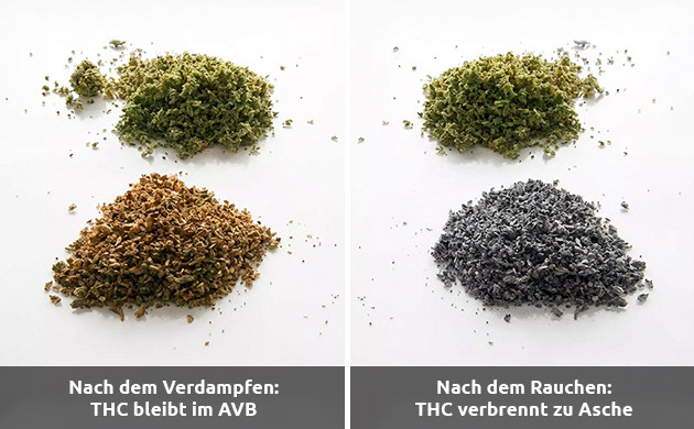 schon verdampfte Knospe