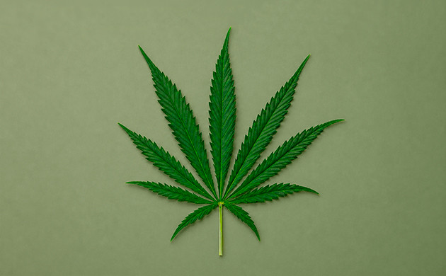 sativa für ein Kopf-High