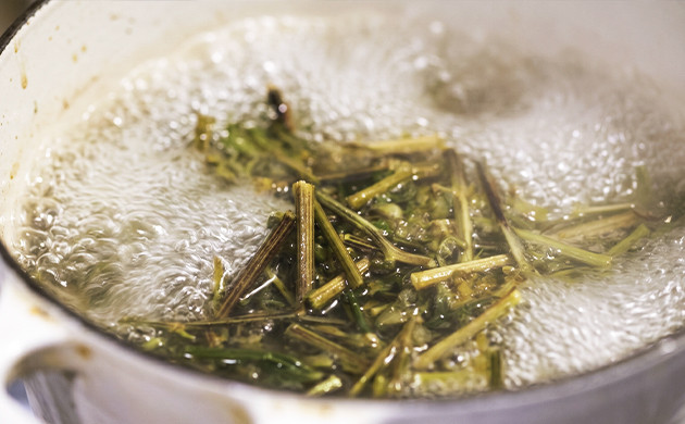 marijuana stem tea