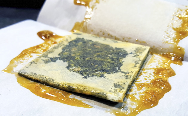 kief thc percentage