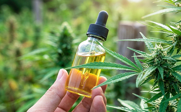 Verwenden Sie organische Pestizide wie man Marihuana-Pflanzen vor Frost schützt
