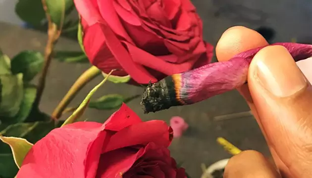wie man einen Joint ohne Papiere rollt