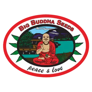Big Buddha Seeds