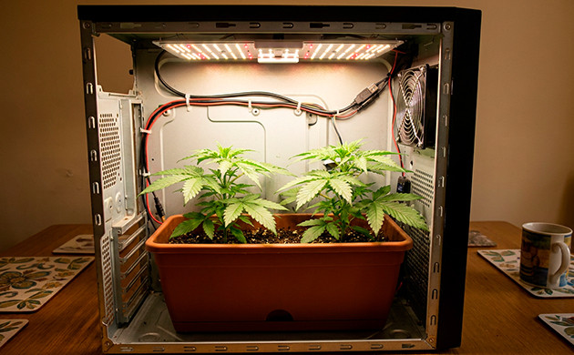 PC Micro Grow Box