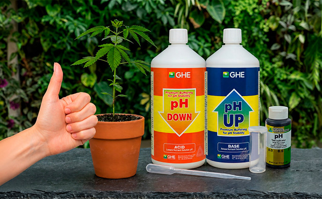 how to lower ph in water for cannabis