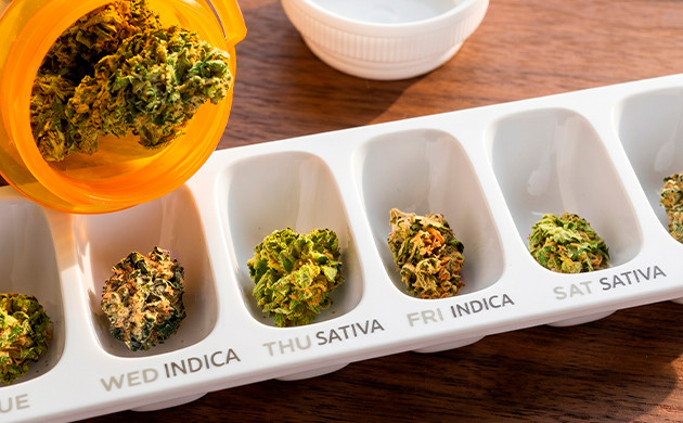 sativa cbd vs indica cbd