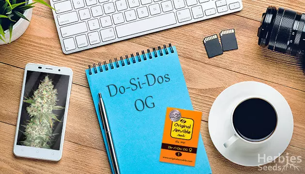 do si dos og von ursprünglichen vernünftigen Samen wachsen Tagebuch