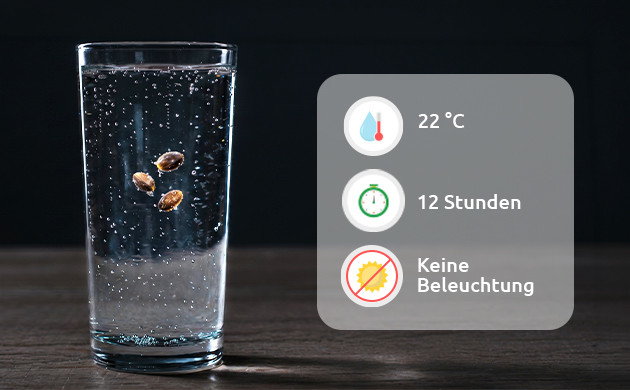 einweichen