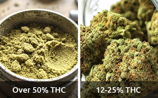 marijuana kief