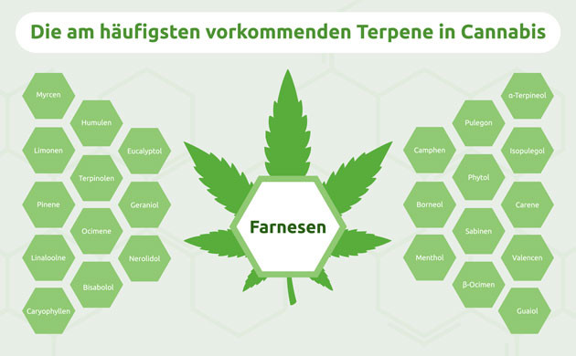 medical & therapeutic potential