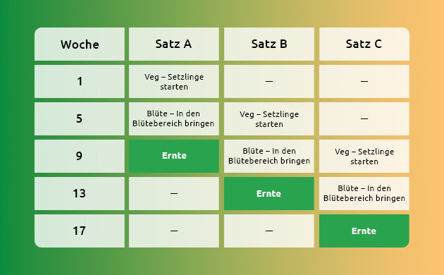 Das Prinzip der nie endenden Ernte das prinzip der nie endenden ernte