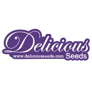 cannabis-samen von delicious seeds