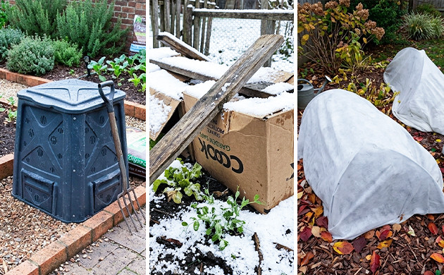 Frost and hail how to protect marijuana plants from frost