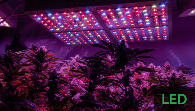 best lights for growing indoors