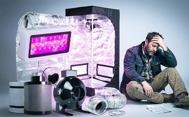 How much does growing cannabis indoors cost cost to grow marijuana