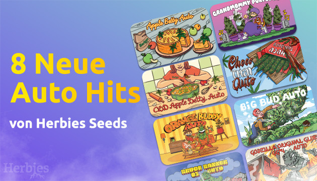 8 autoflowering versionen von herbies seeds favoriten
