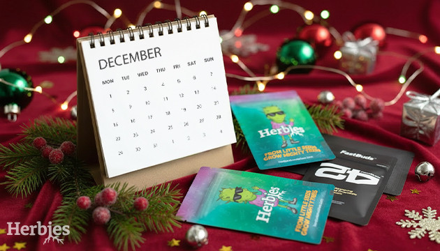 Unsere Arbeitszeiten Während der Winterferien unsere arbeitszeiten während der winterferien