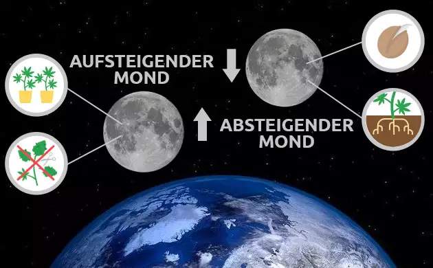 Aufsteigender Mond und absteigender Mond