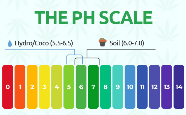 ph scale graphic