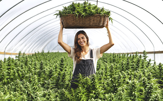how long does it take to grow a pot plant