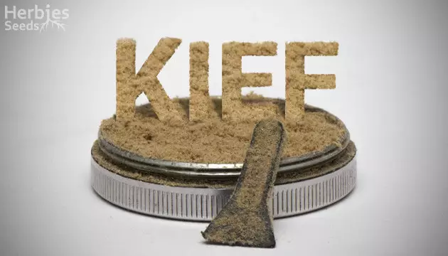 Kief Unkraut