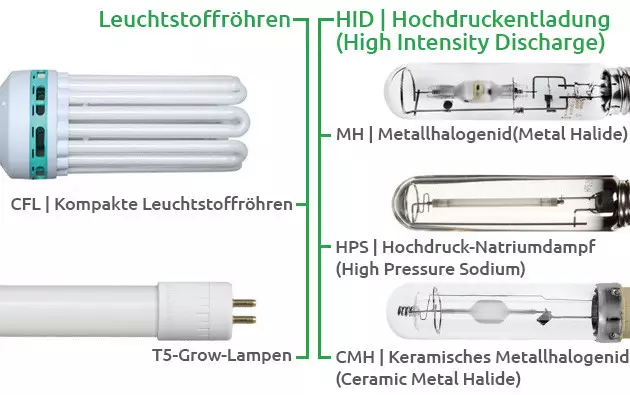best growing lights