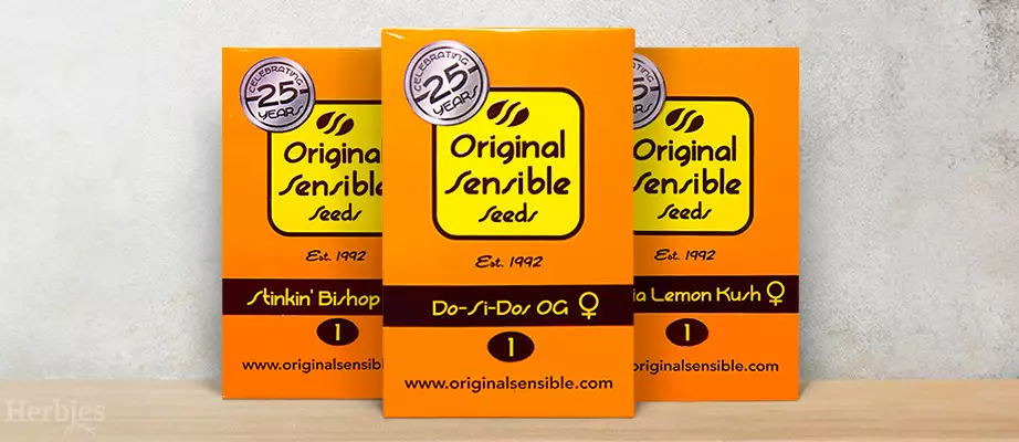 Original Sensible Seeds Samen kaufen