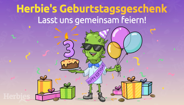 herbies geburtstagsparty beginnt