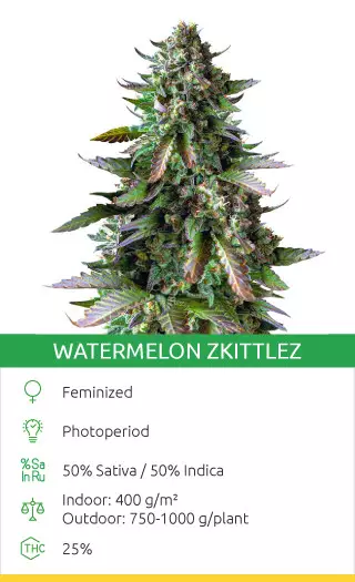 Wassermelone Zkittlez