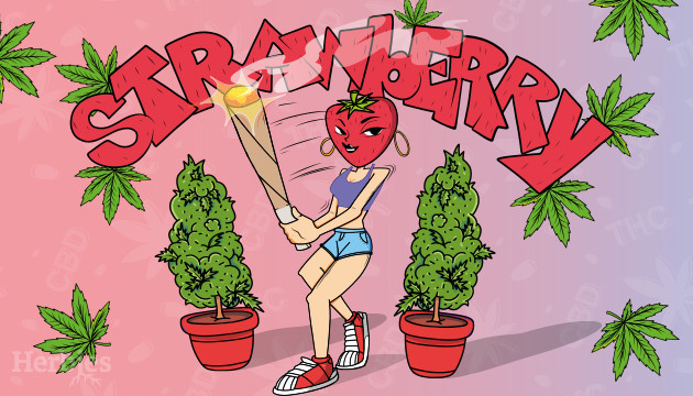 weed-sorten mit erdbeergeschmack