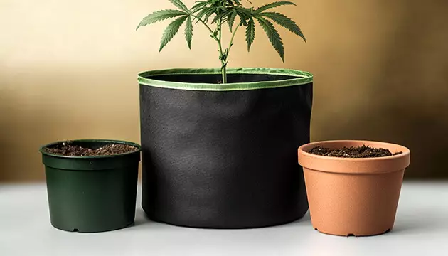 Cannabis-Anbaumaschinen