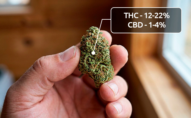 Cannabinoidgehalt von Unkraut mittlerer Qualität Was ist Reggie Weed?