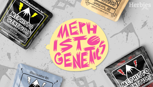 neue mephisto genetics strains sind da