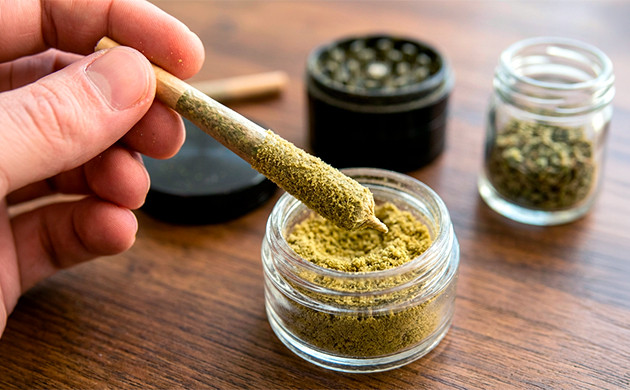 what is concentrated cannabis